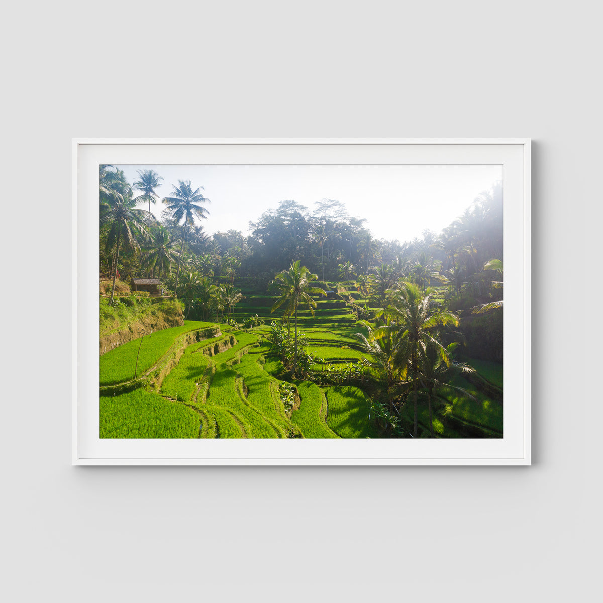 Tegalalang Rice Fields - Ubud iii - Art Print - Traditional Frame - White - Landscape