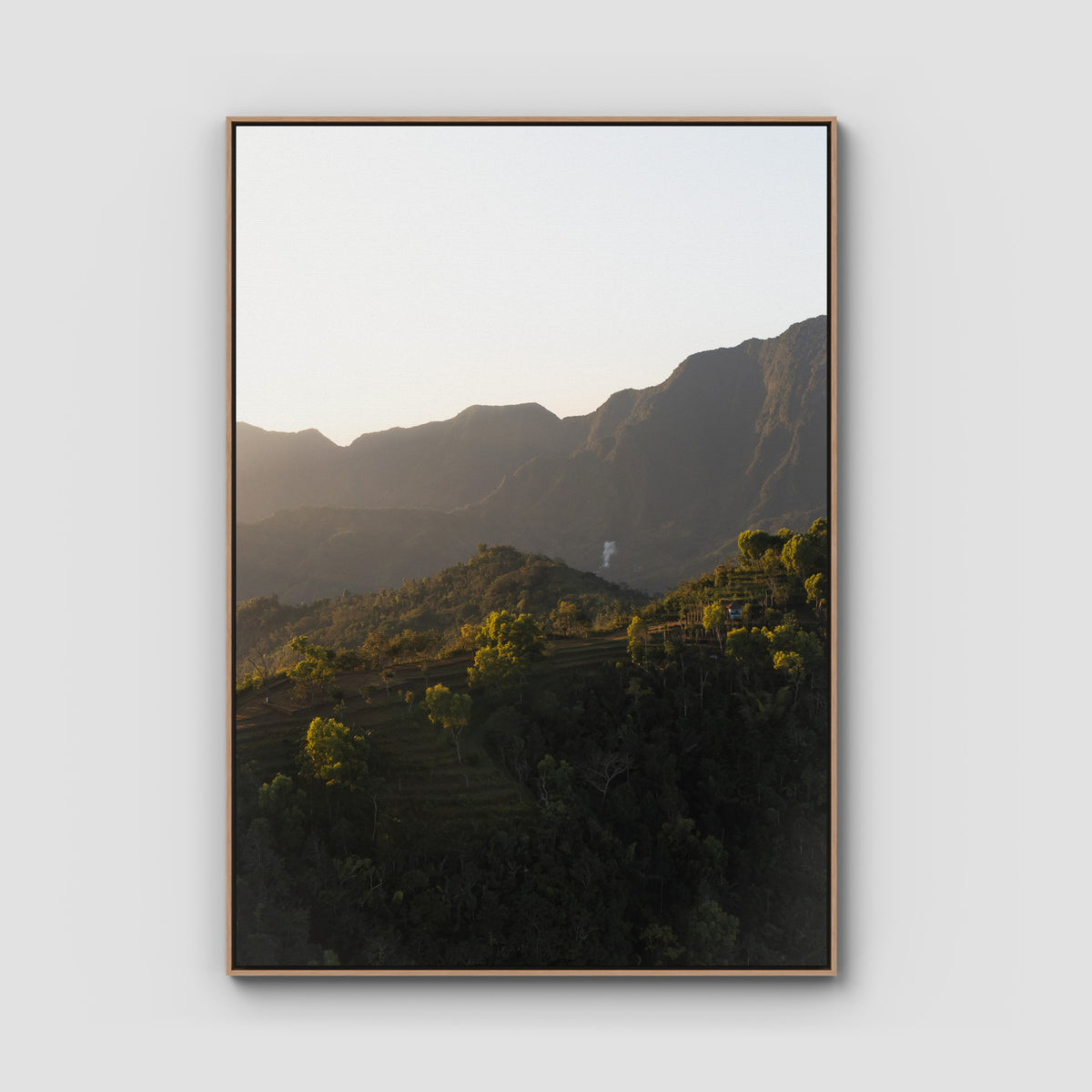 Jungle Morning Light - Bali  - Art Print - Float Frame Canvas - Raw Oak - Portrait