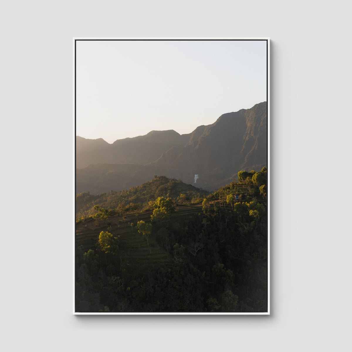 Jungle Morning Light - Bali  - Art Print - Float Frame Canvas - White - Portrait