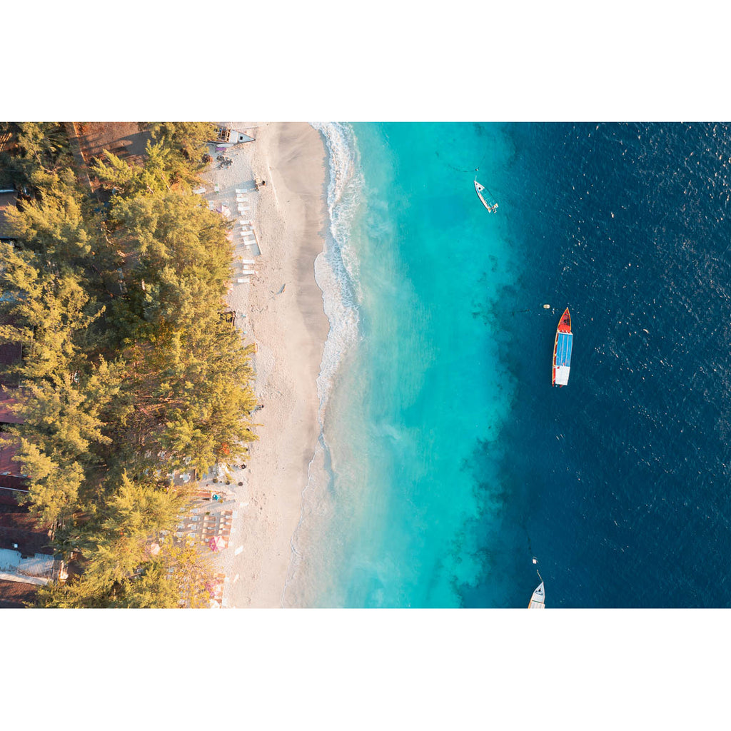 Gili T Tropical - Art Print