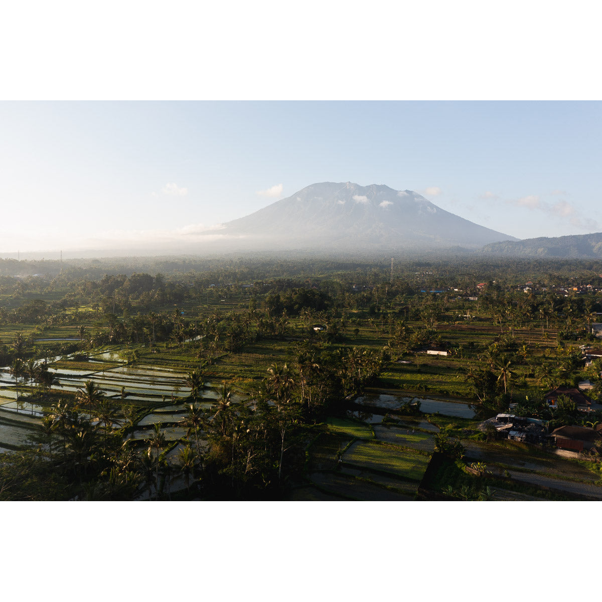 Rice Paddy Sunset East Bali ii  - Art Print
