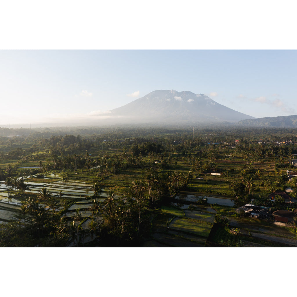 Rice Paddy Sunset East Bali ii  - Art Print