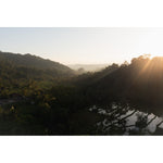 Rice Paddy Sunset Rays  - Art Print
