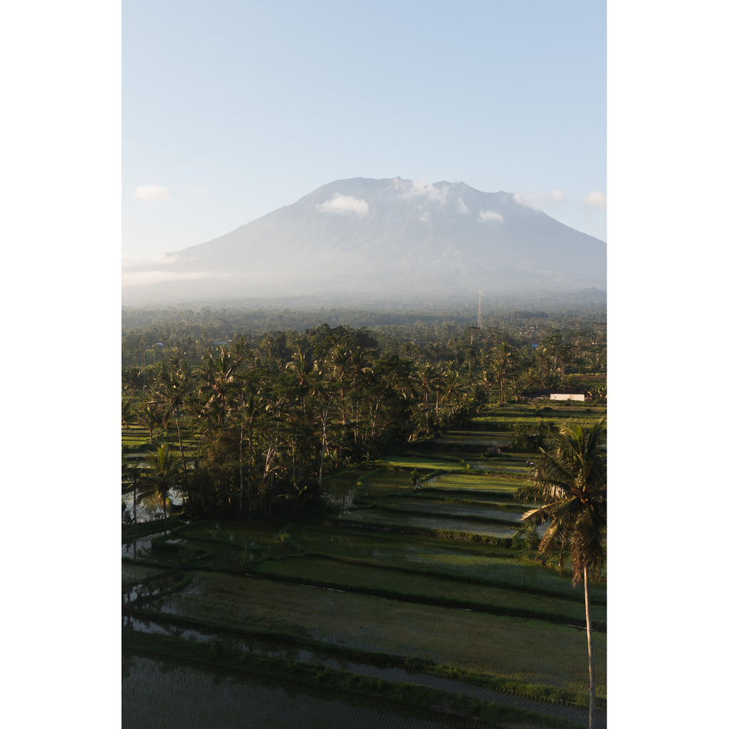 Rice Paddy Sunset East Bali  - Art Print