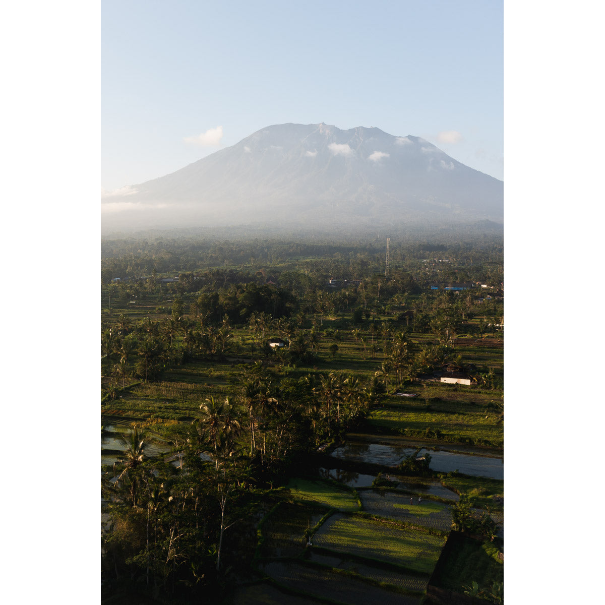 Rice Paddy Sunset East Bali ii  - Art Print