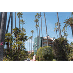 Beverly Hills Hotel - Tidaltones