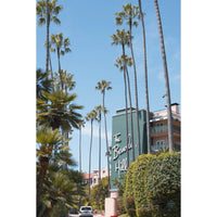 Beverly Hills Hotel - Tidaltones