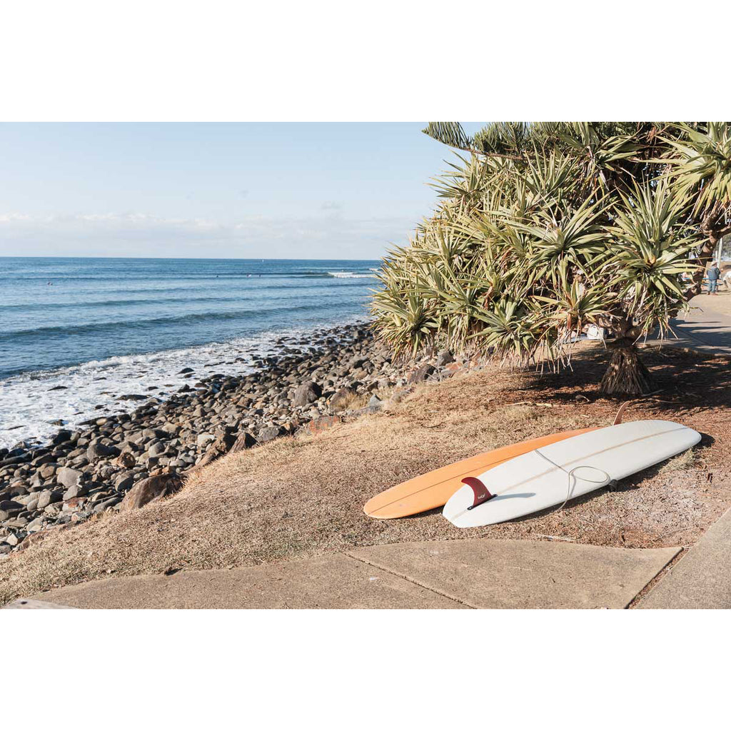 Longboard Life - Tidaltones