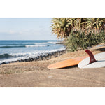 Single Fin Love - Tidaltones