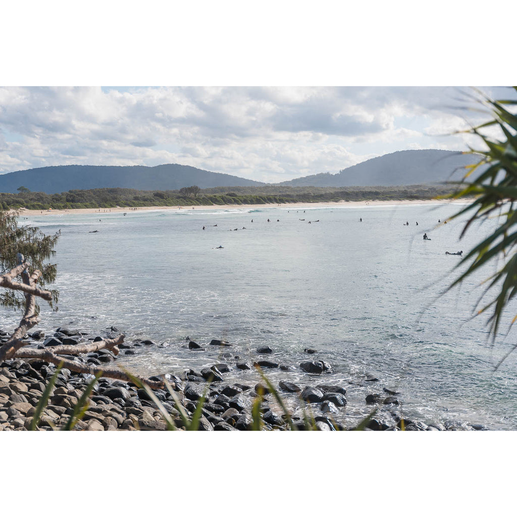 Crescent Head Pandanus Frame - Art Print