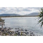 Crescent Head Pandanus Frame - Art Print