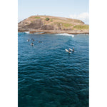 Surf Lineup - Tidaltones