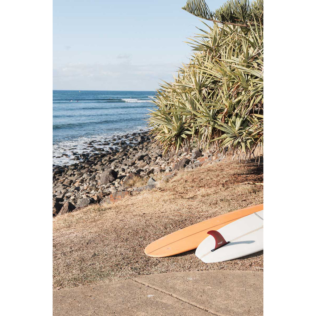 Longboard Life - Tidaltones