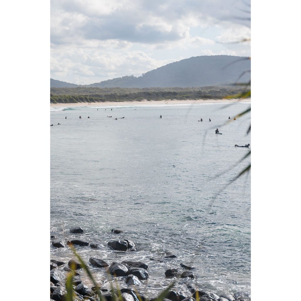 Crescent Head Pandanus Frame - Art Print