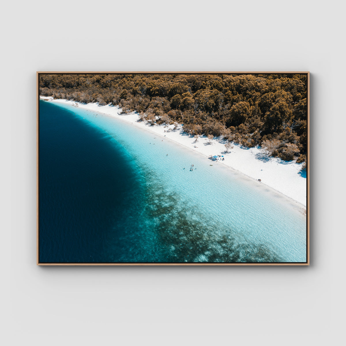 Lake McKenzie Aerial - Fraser Island - Art Print - Float Frame Canvas - Raw Oak - Landscape