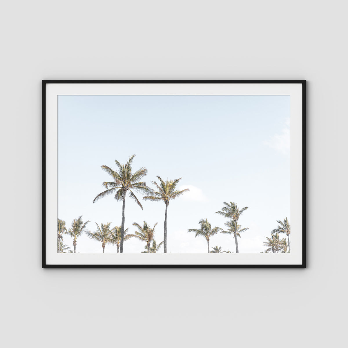 Tropical Palms ii - Art Print - Traditional Frame - Black - Landscape