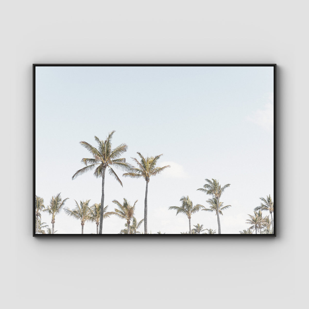 Tropical Palms ii - Art Print - Float Frame Canvas - Black - Landscape