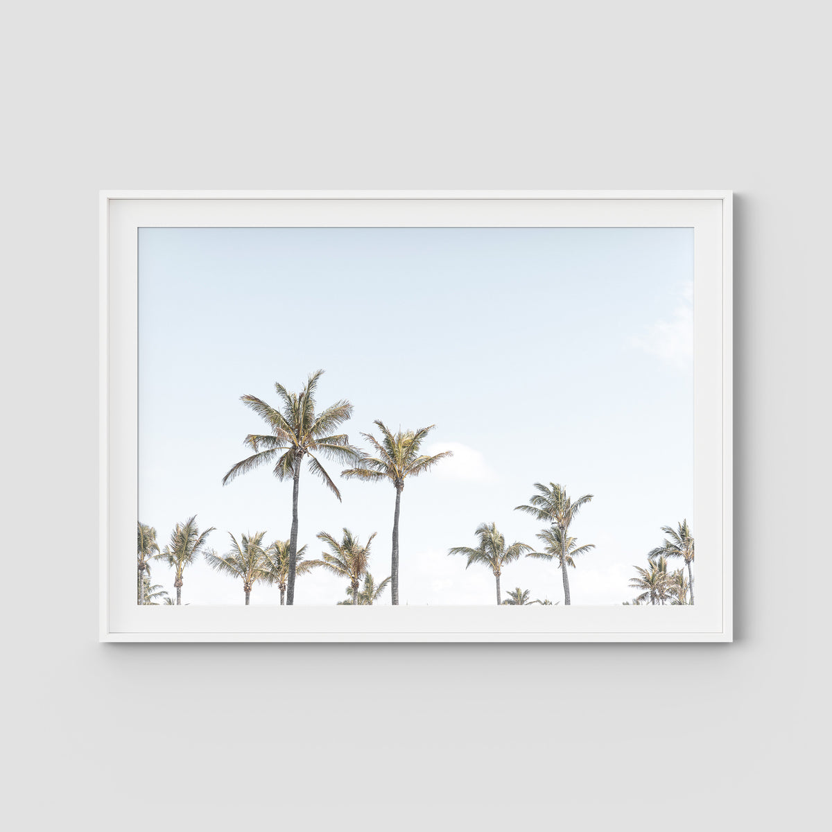 Tropical Palms ii - Art Print - Traditional Frame - White - Landscape