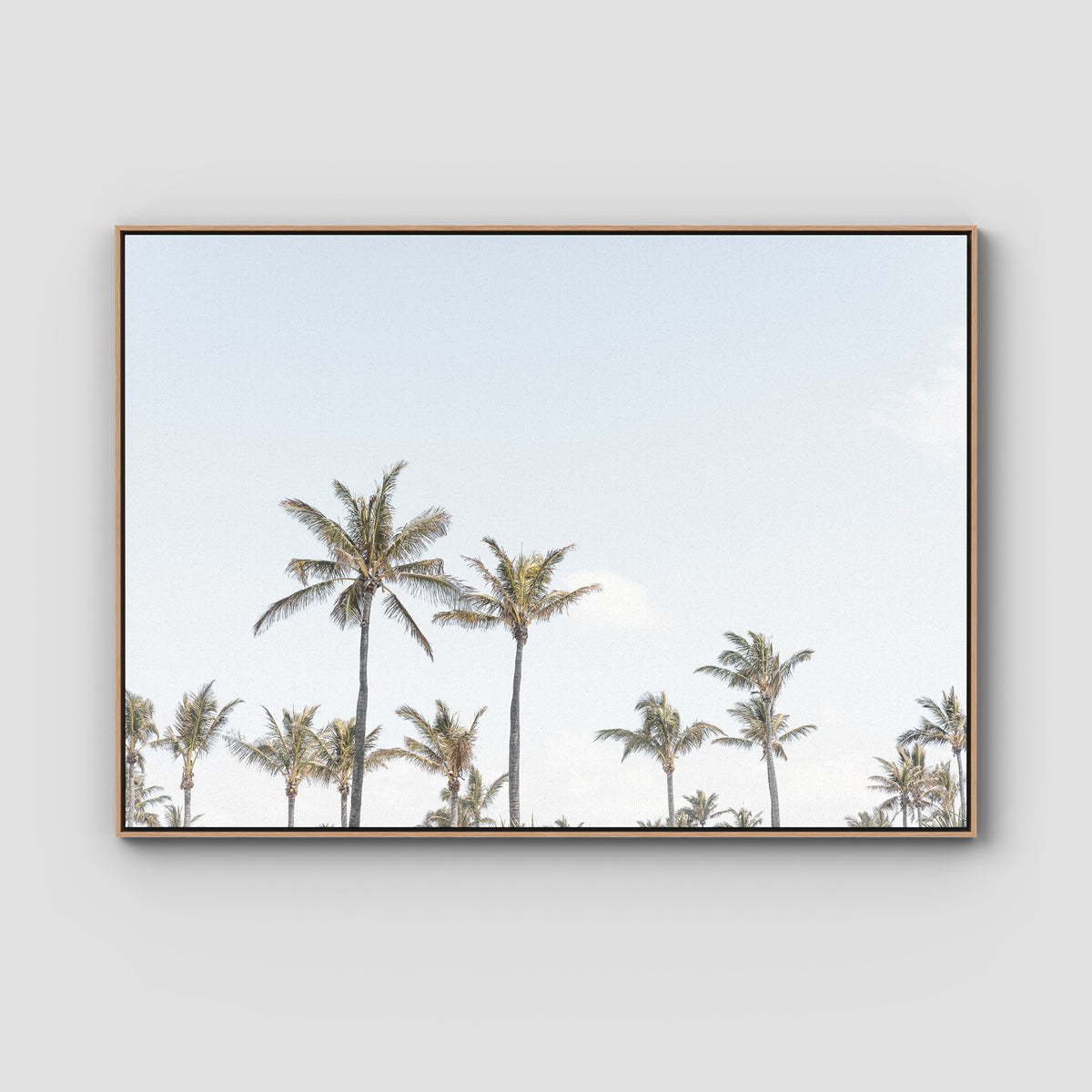 Tropical Palms ii - Art Print - Float Frame Canvas - Raw Oak - Landscape