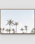 Tropical Palms ii - Art Print - Float Frame Canvas - Raw Oak - Landscape