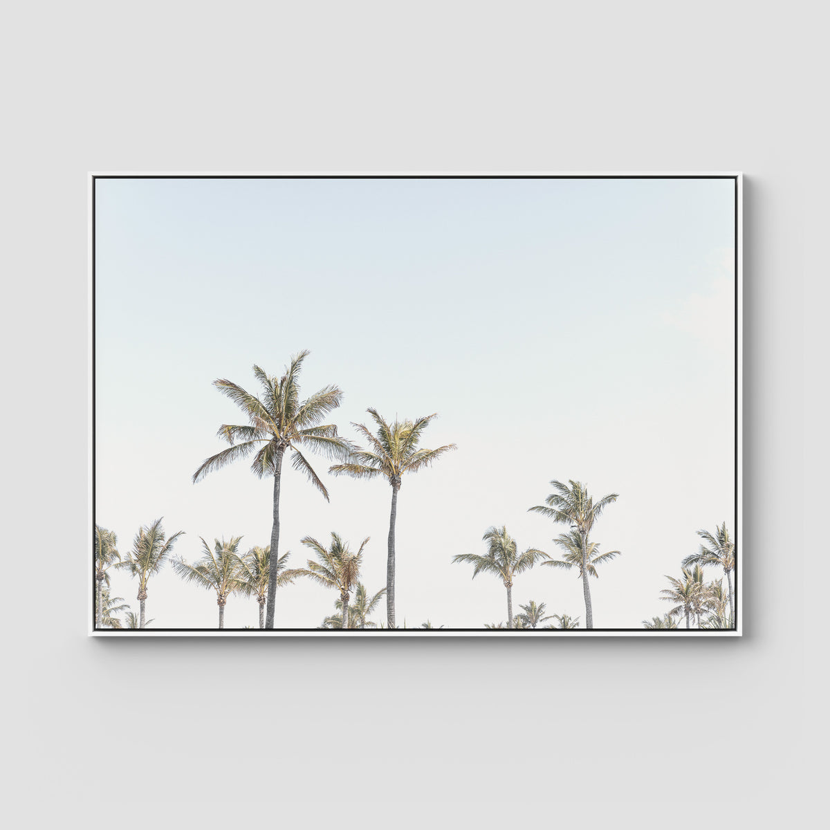 Tropical Palms ii - Art Print - Float Frame Canvas - White - Landscape