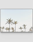 Tropical Palms ii - Art Print - Float Frame Canvas - White - Landscape