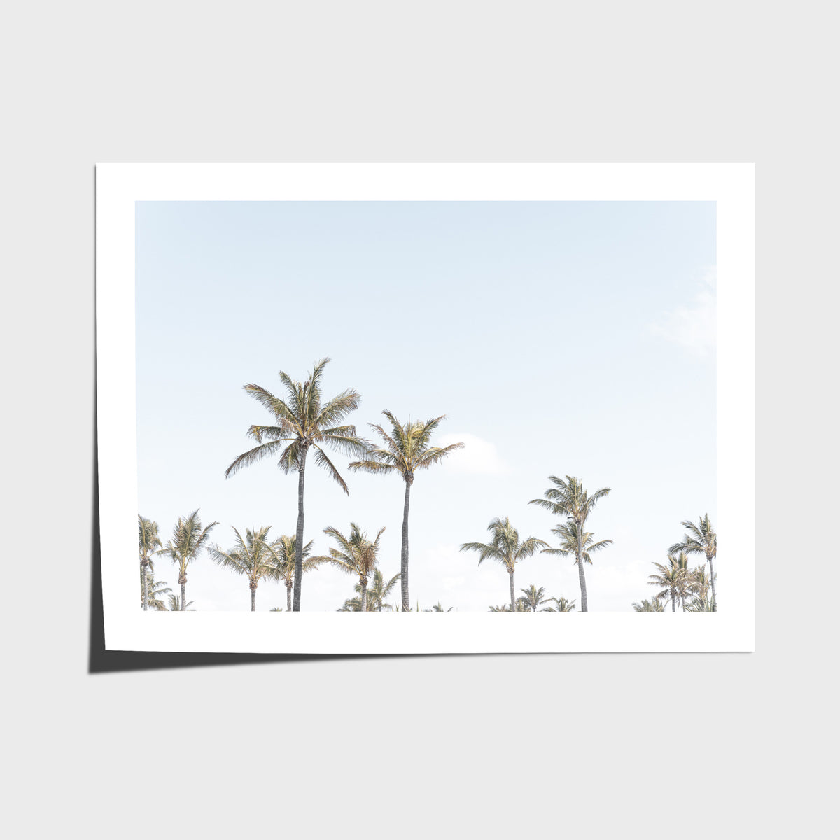 Tropical Palms ii - Art Print - Fine Art Paper - Unframed Print - Landscape