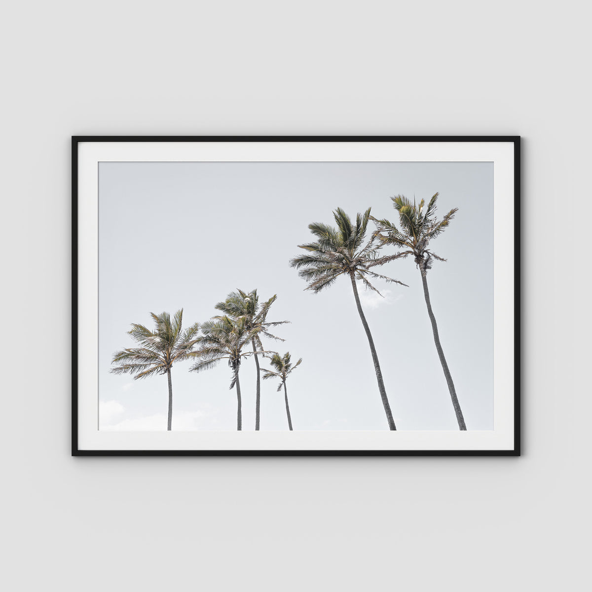 Tropical Palms iii - Art Print - Traditional Frame - Black - Landscape