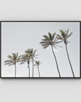 Tropical Palms iii - Art Print - Float Frame Canvas - Black - Landscape