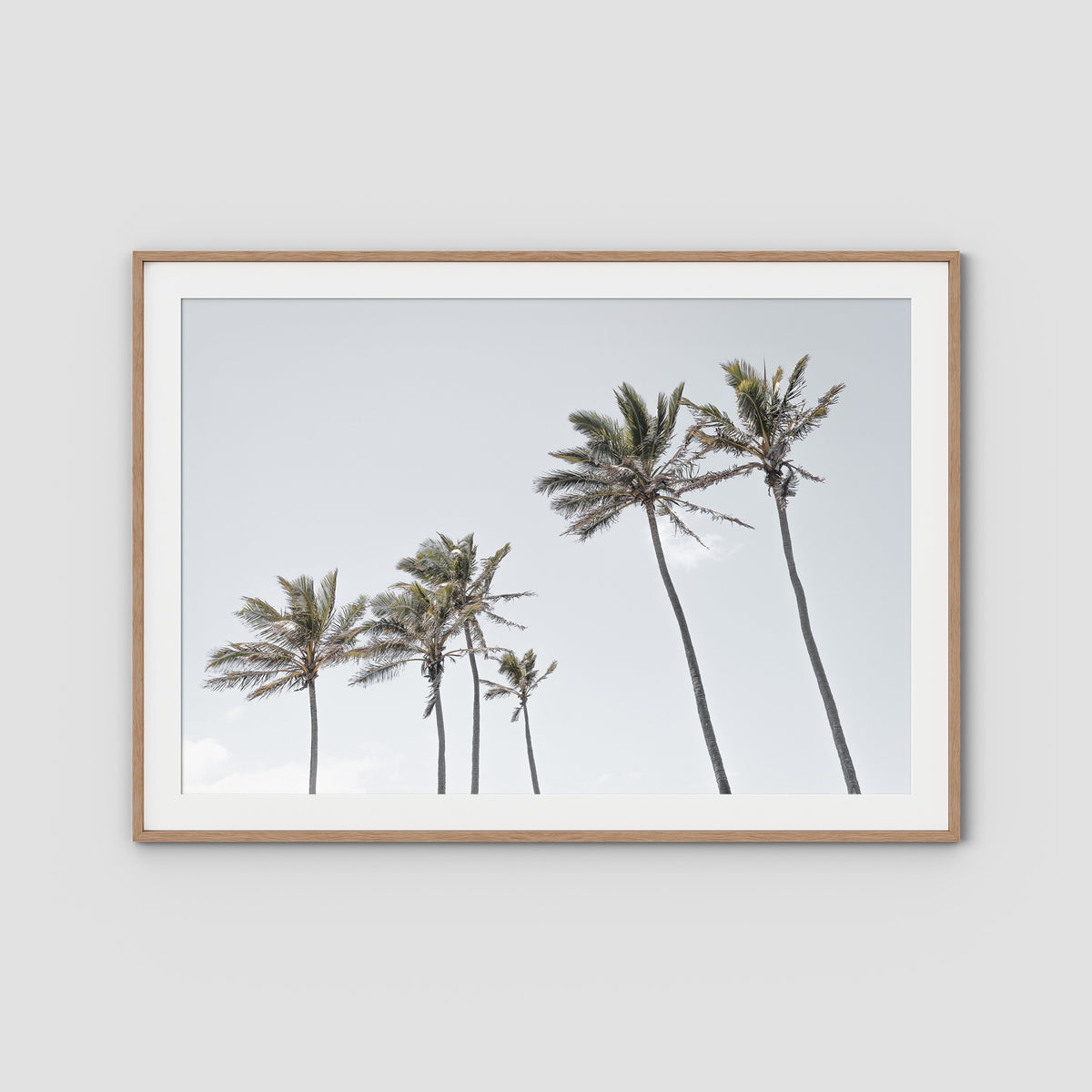 Tropical Palms iii - Art Print - Traditional Frame - Raw Oak - Landscape