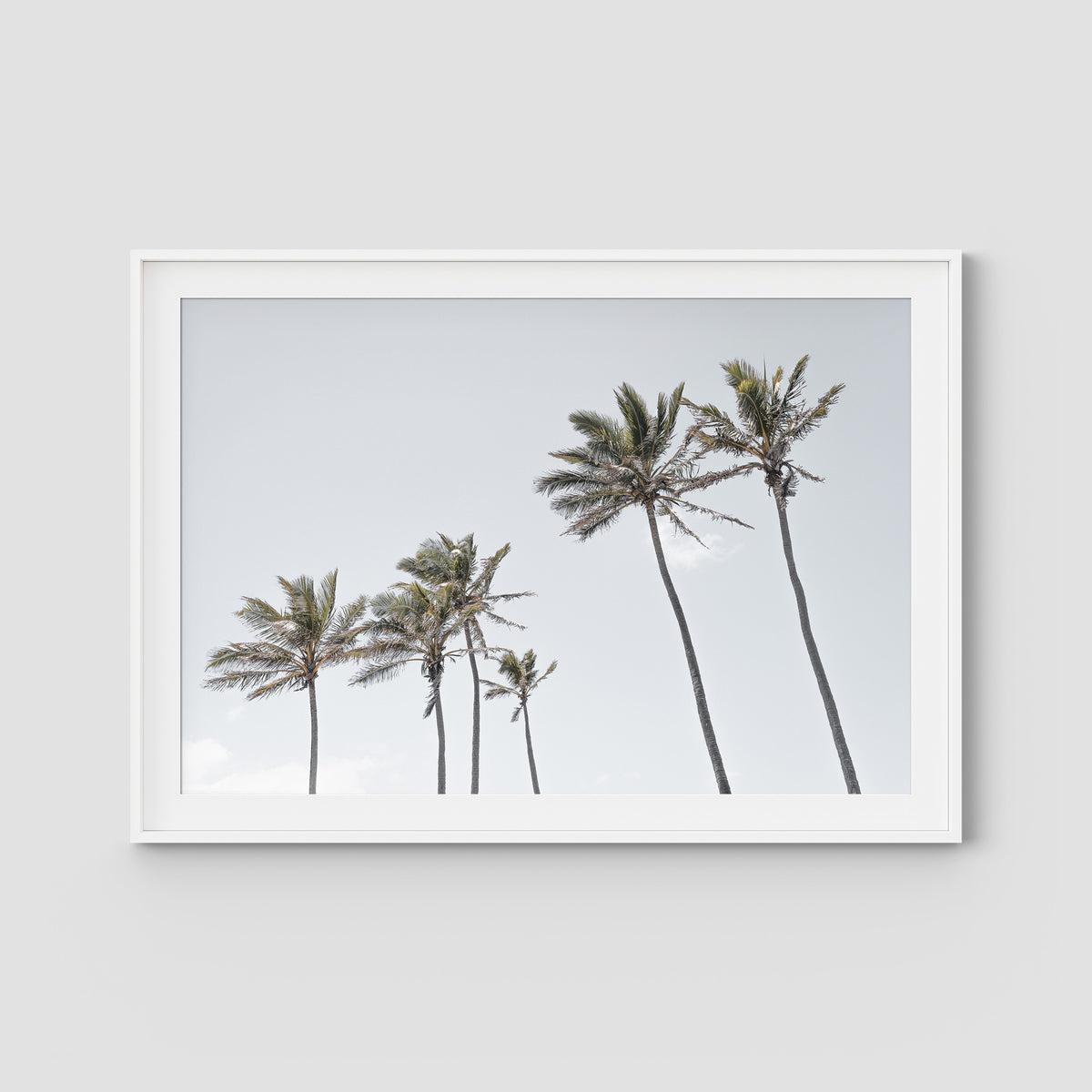 Tropical Palms iii - Art Print - Traditional Frame - White - Landscape