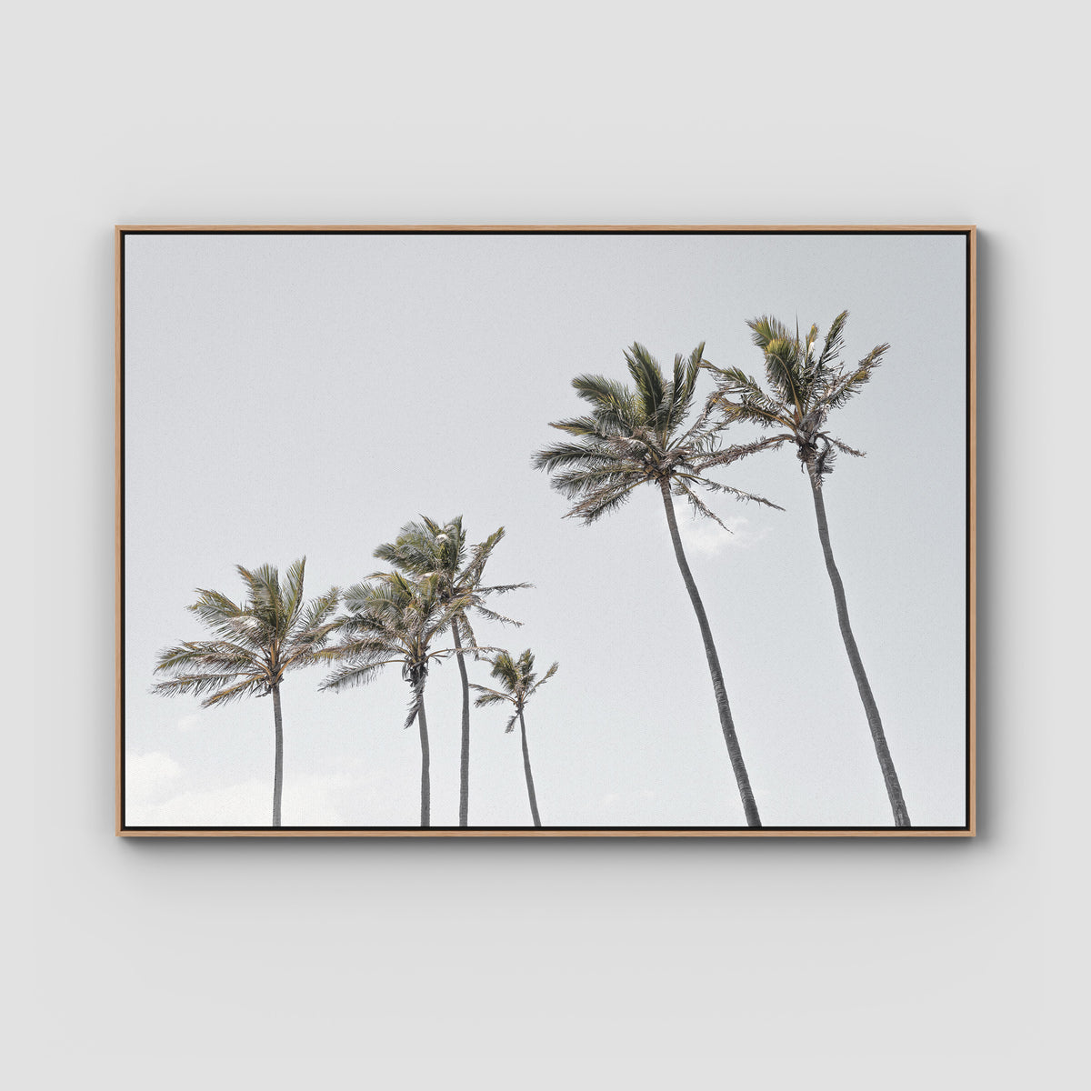 Tropical Palms iii - Art Print - Float Frame Canvas - Raw Oak - Landscape