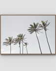 Tropical Palms iii - Art Print - Float Frame Canvas - Raw Oak - Landscape