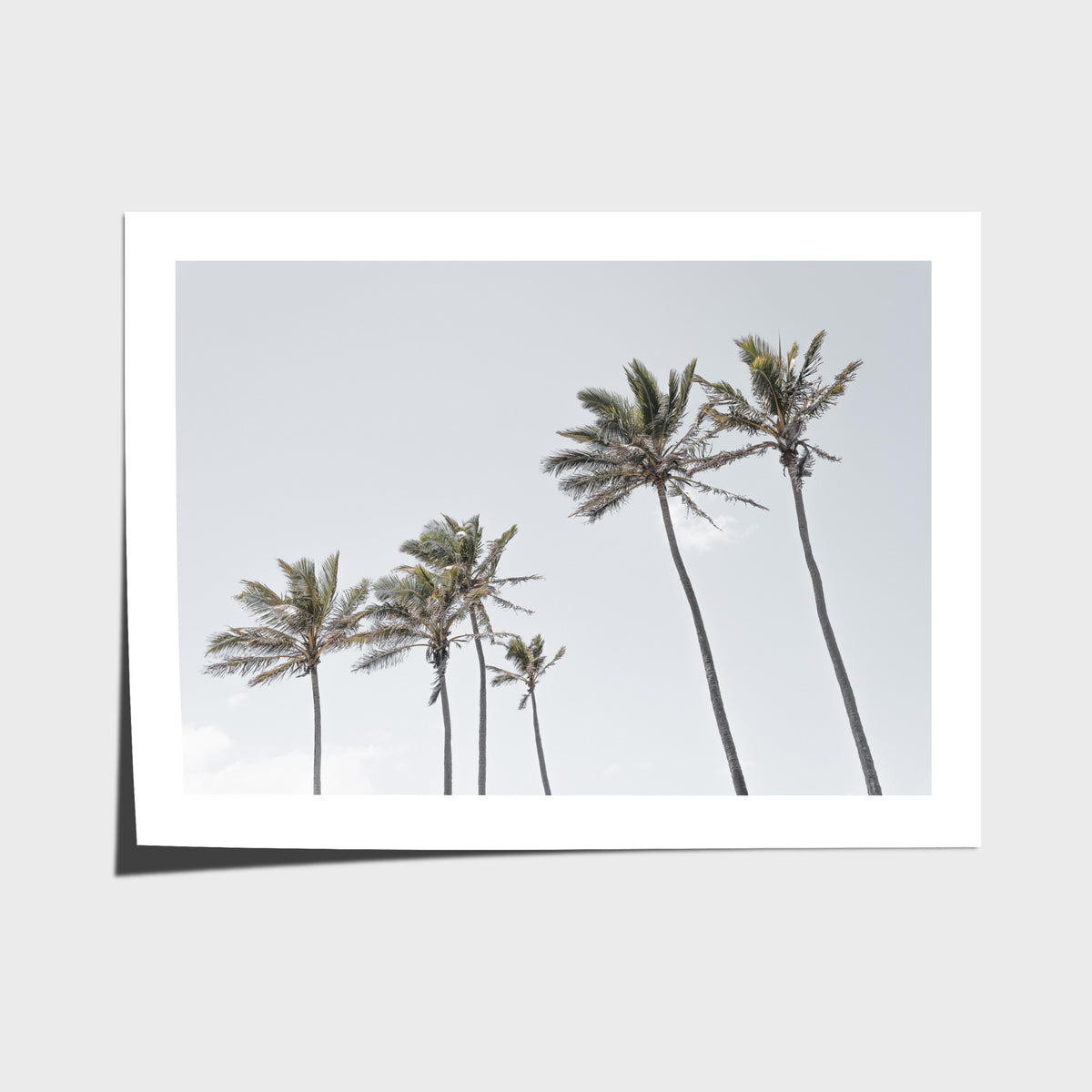 Tropical Palms iii - Art Print - Fine Art Paper - Unframed Print - Landscape