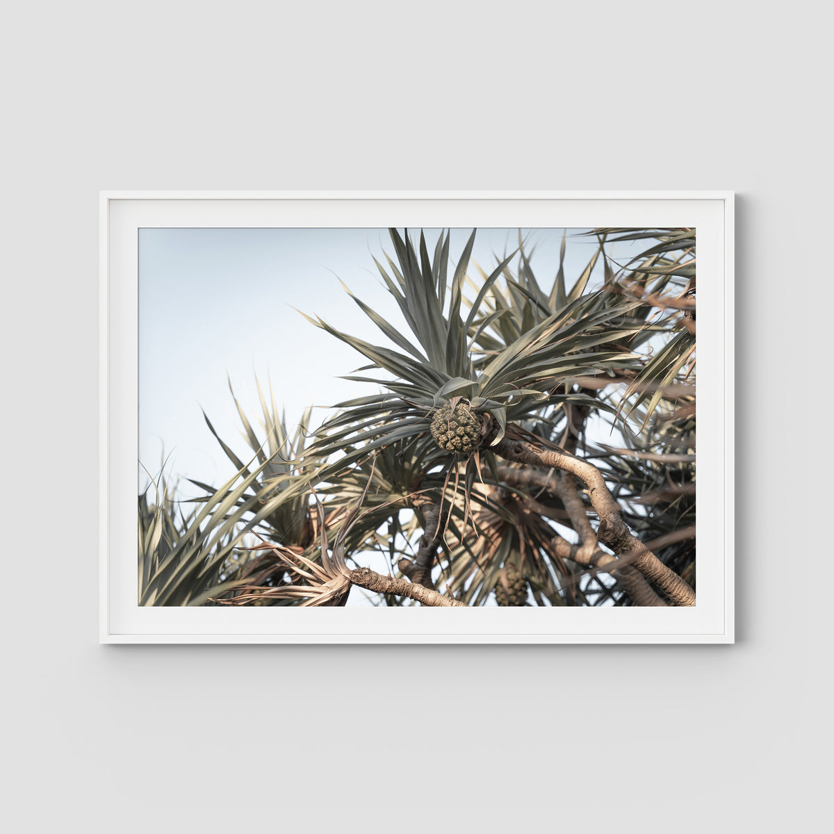 Pandanus Love - Art Print - Traditional Frame - White - Landscape
