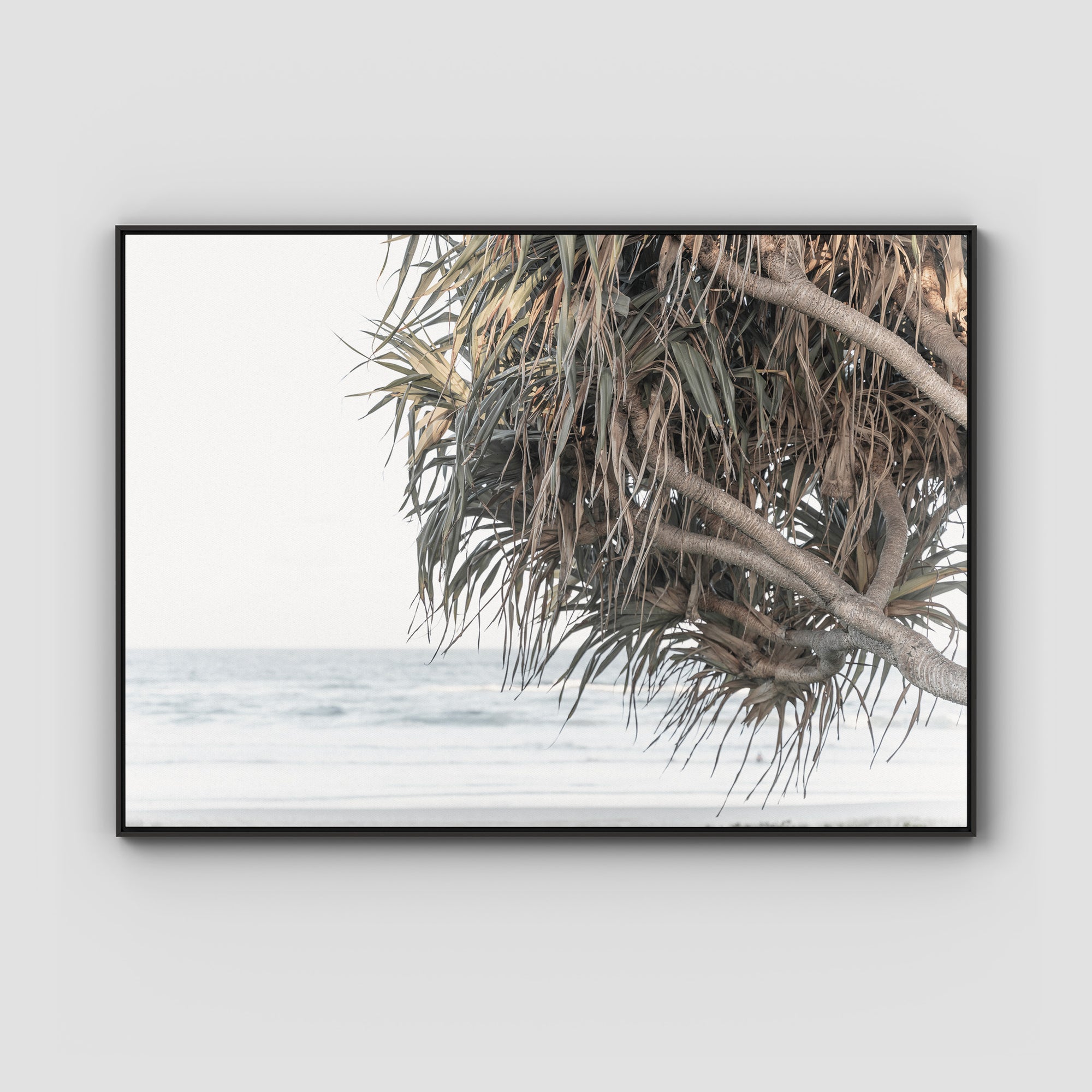 Pandanus & Ocean - Fine Art Print Tidaltones