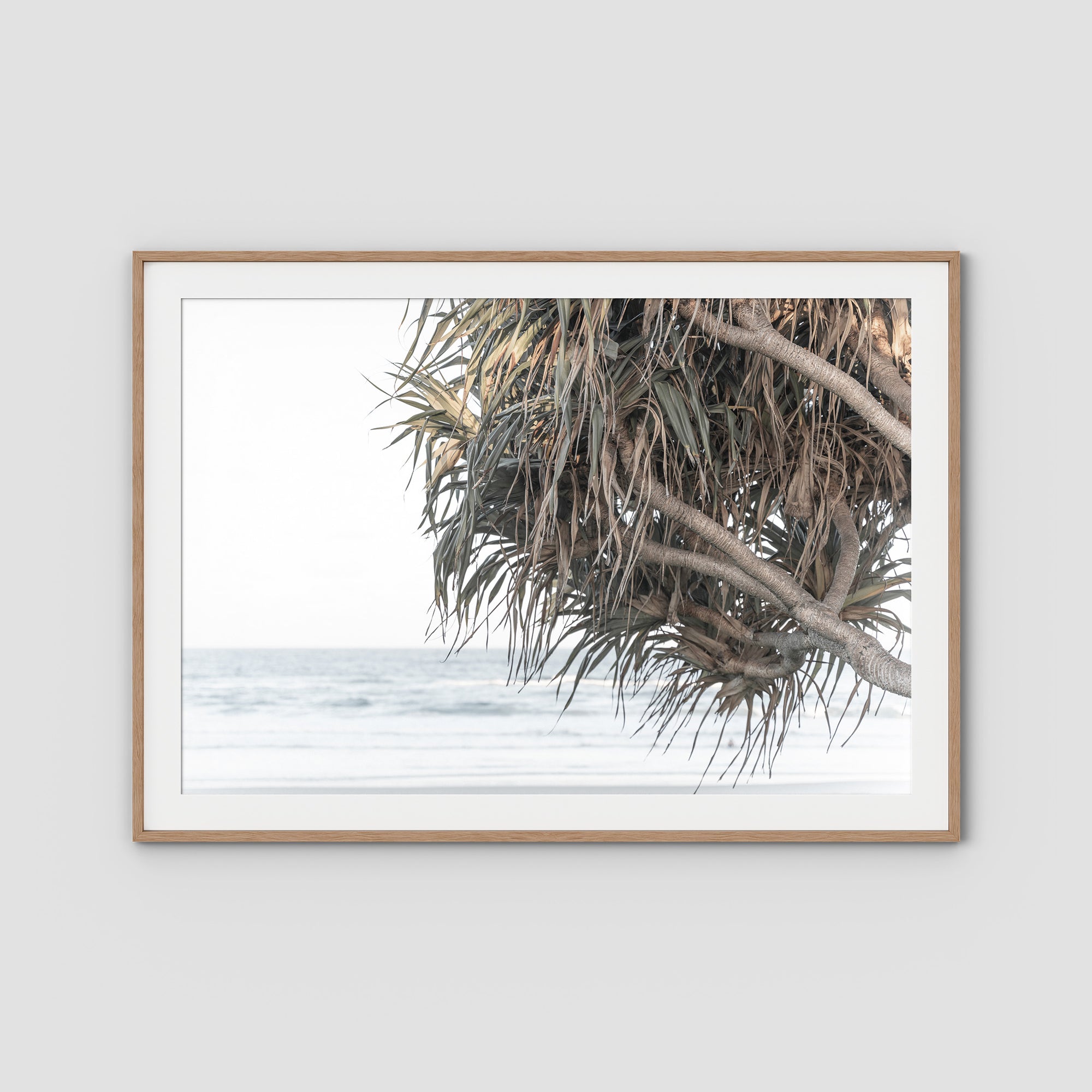 Pandanus & Ocean - Fine Art Print Tidaltones