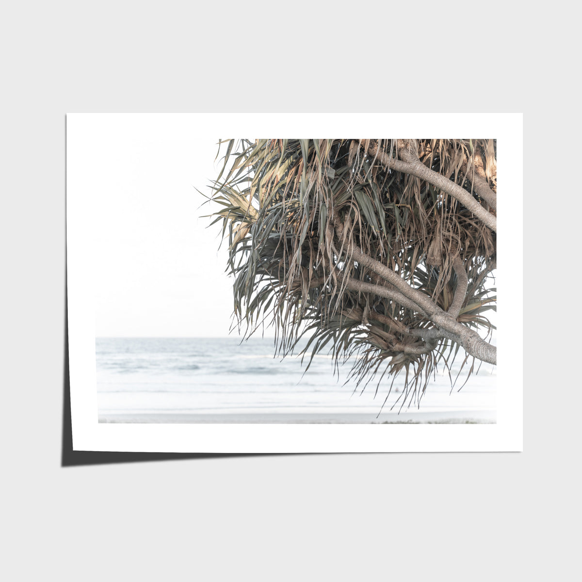 Pandanus &amp; Ocean - Fine Art Print - Fine Art Paper - Unframed Print - Landscape