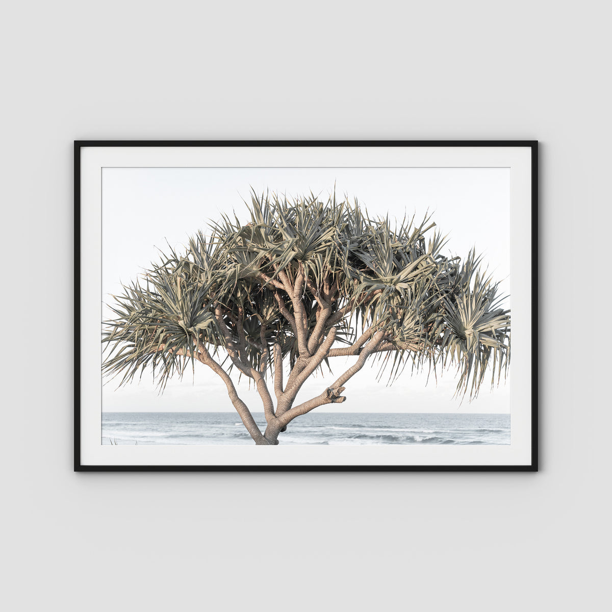 Pandanus By The Sea - Art Print - Traditional Frame - Black - Landscape