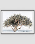 Pandanus By The Sea - Art Print - Traditional Frame - Black - Landscape