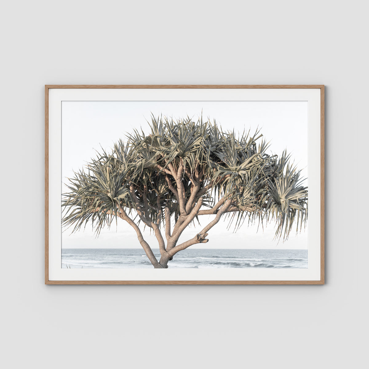 Pandanus By The Sea - Art Print - Traditional Frame - Raw Oak - Landscape