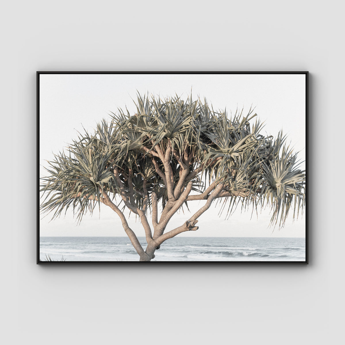 Pandanus By The Sea - Art Print - Float Frame Canvas - Black - Landscape