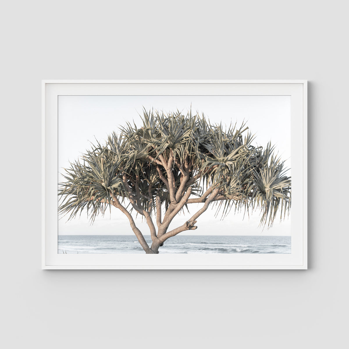 Pandanus By The Sea - Art Print - Traditional Frame - White - Landscape