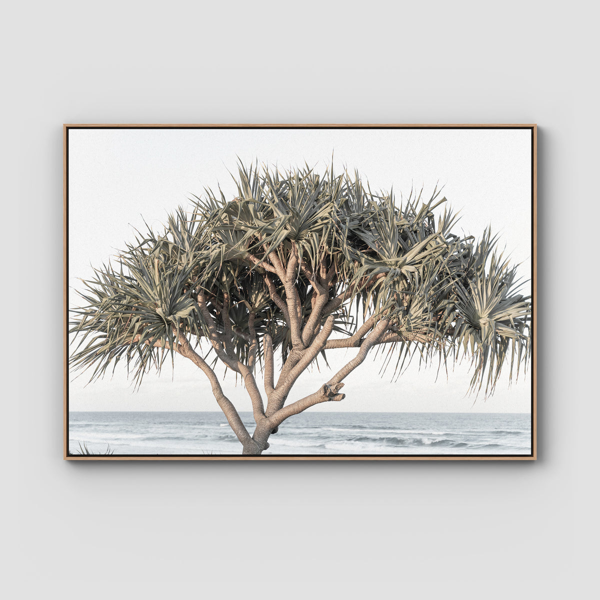 Pandanus By The Sea - Art Print - Float Frame Canvas - Raw Oak - Landscape
