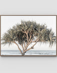Pandanus By The Sea - Art Print - Float Frame Canvas - Raw Oak - Landscape