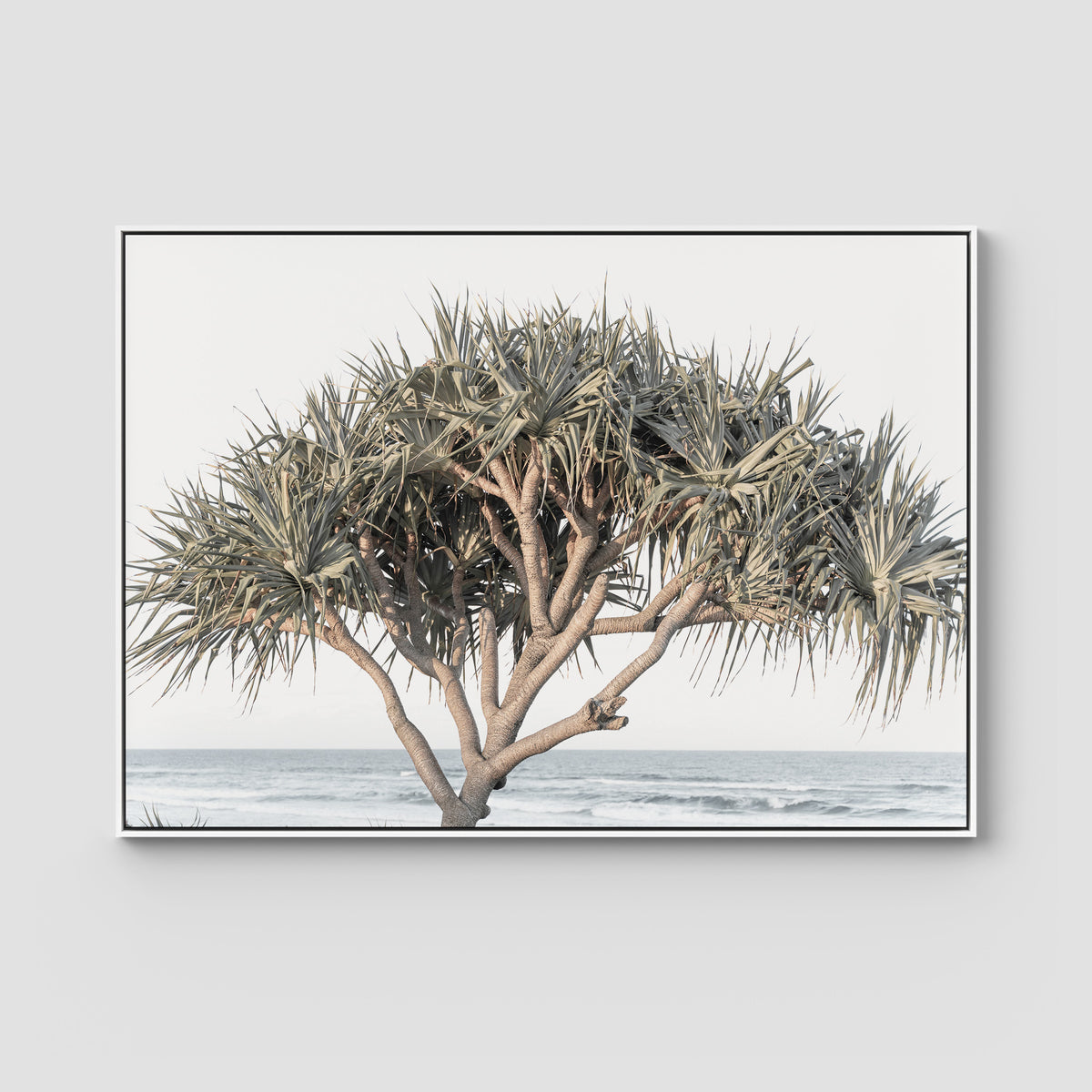 Pandanus By The Sea - Art Print - Float Frame Canvas - White - Landscape