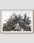 Pandanus Arvo Sun - Art Print - Traditional Frame - Raw Oak - Landscape