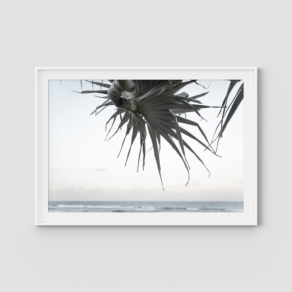 Pandanus By The Sea ii - Art Print - Traditional Frame - White - Landscape