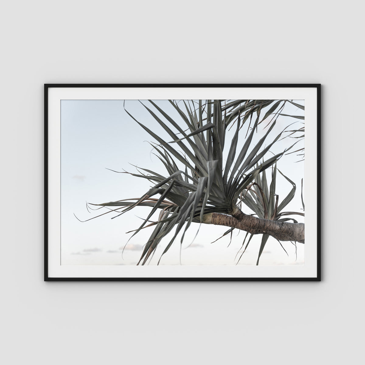 Pandanus Branch - Art Print - Traditional Frame - Black - Landscape