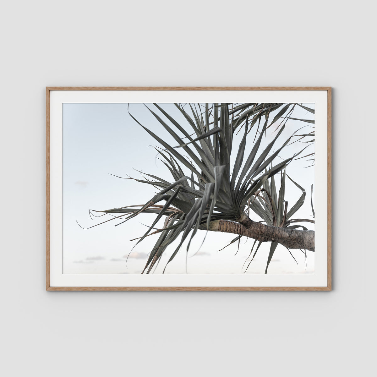 Pandanus Branch - Art Print - Traditional Frame - Raw Oak - Landscape